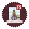 Dark Red Suede Mat Board for 11x15 Frames - Fits 8.5x11 Photos